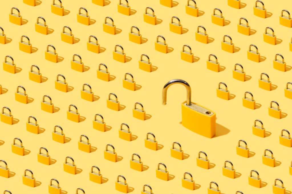 Unlocking Secrets: Understanding the Encryption Backdoor Phenomenon